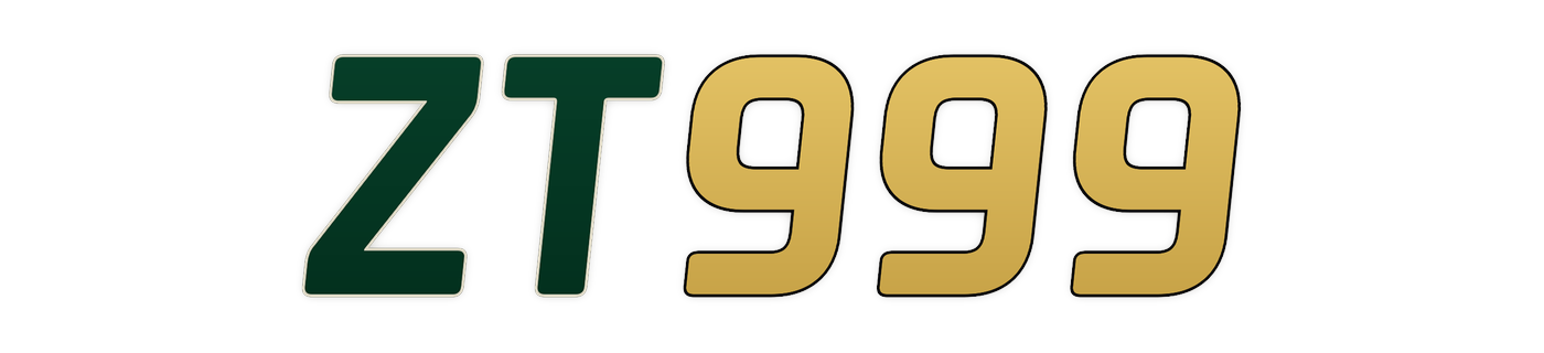 zt999 Logo